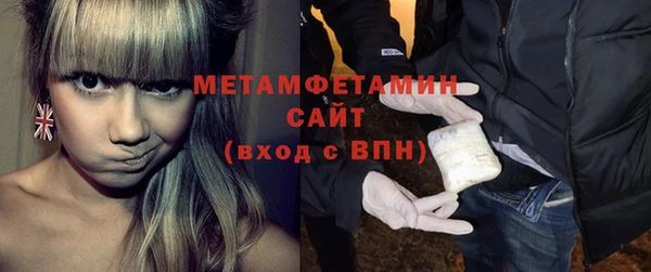 прущие грибы Гусиноозёрск