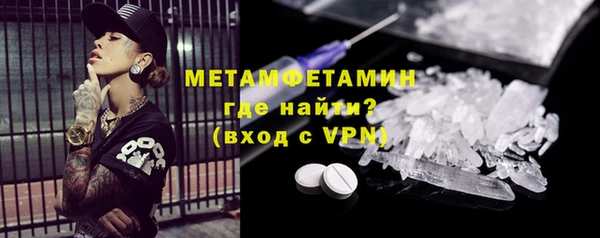 прущие грибы Гусиноозёрск