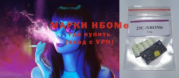 гашик Гусь-Хрустальный