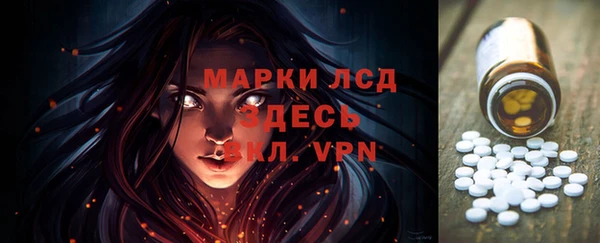 прущие грибы Гусиноозёрск