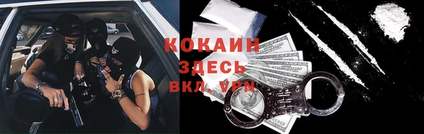 прущие грибы Гусиноозёрск