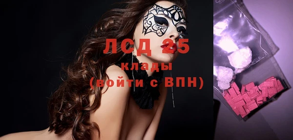 гашик Гусь-Хрустальный