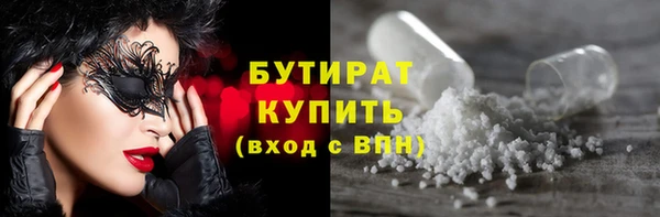 прущие грибы Гусиноозёрск