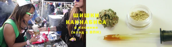 гашик Гусь-Хрустальный