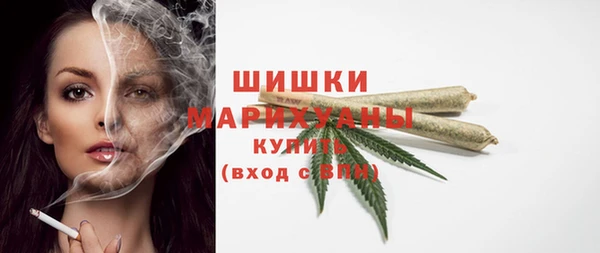 гашик Гусь-Хрустальный
