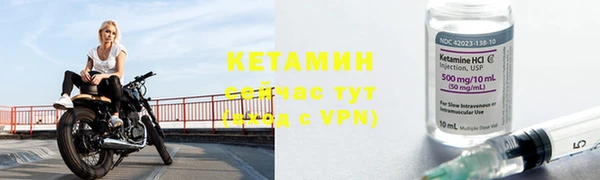 прущие грибы Гусиноозёрск