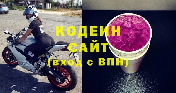 гашик Гусь-Хрустальный