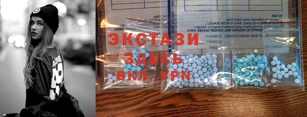 прущие грибы Гусиноозёрск