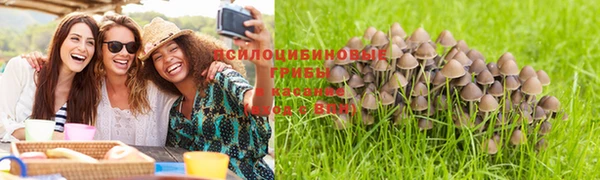 гашик Гусь-Хрустальный