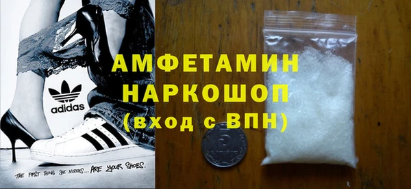 прущие грибы Гусиноозёрск